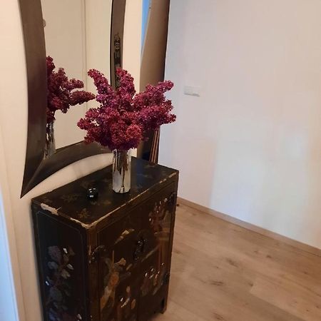 Schone Wohnung In Der Grazer Innenstadt Exterior foto