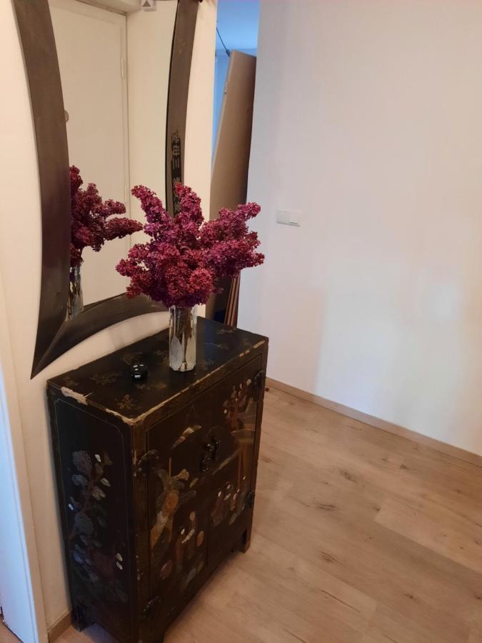 Schone Wohnung In Der Grazer Innenstadt Exterior foto